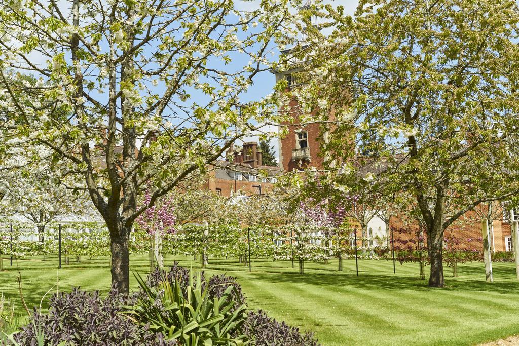 Tylney Hall Hotel Hook  Exterior foto